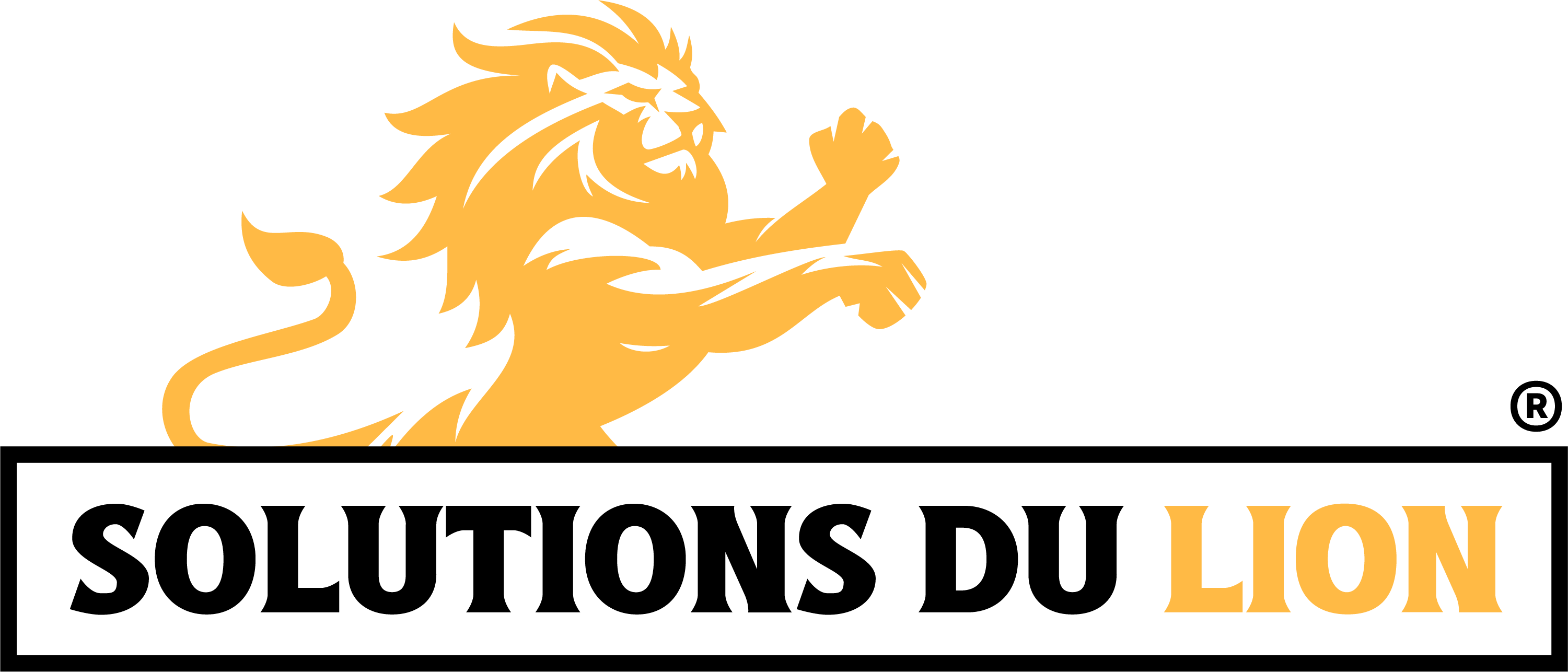 Solutions du Lion